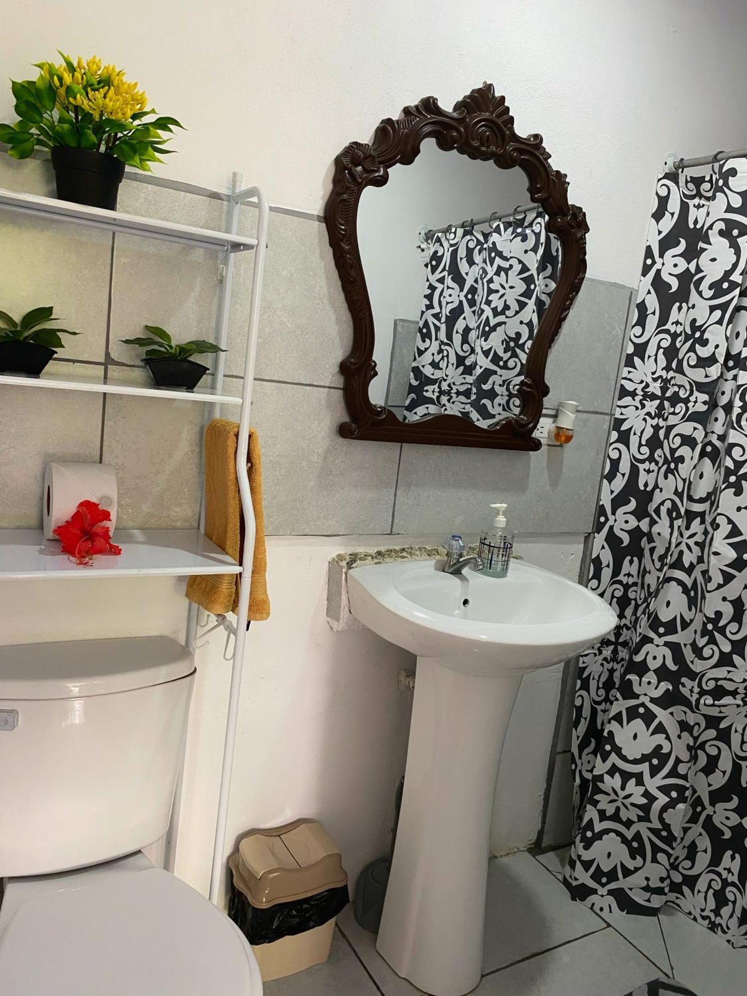 Anluka Estudio Puerto Jimenez Ngoại thất bức ảnh